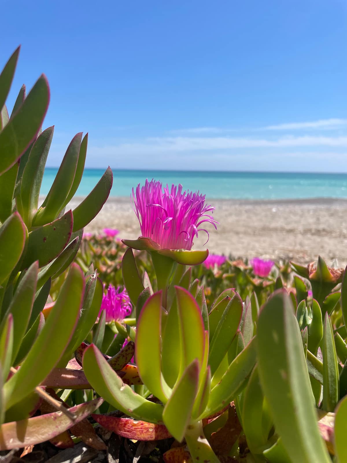 La plage de Platja de Nules